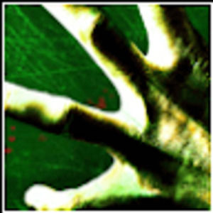 Meet your Posher, Avery